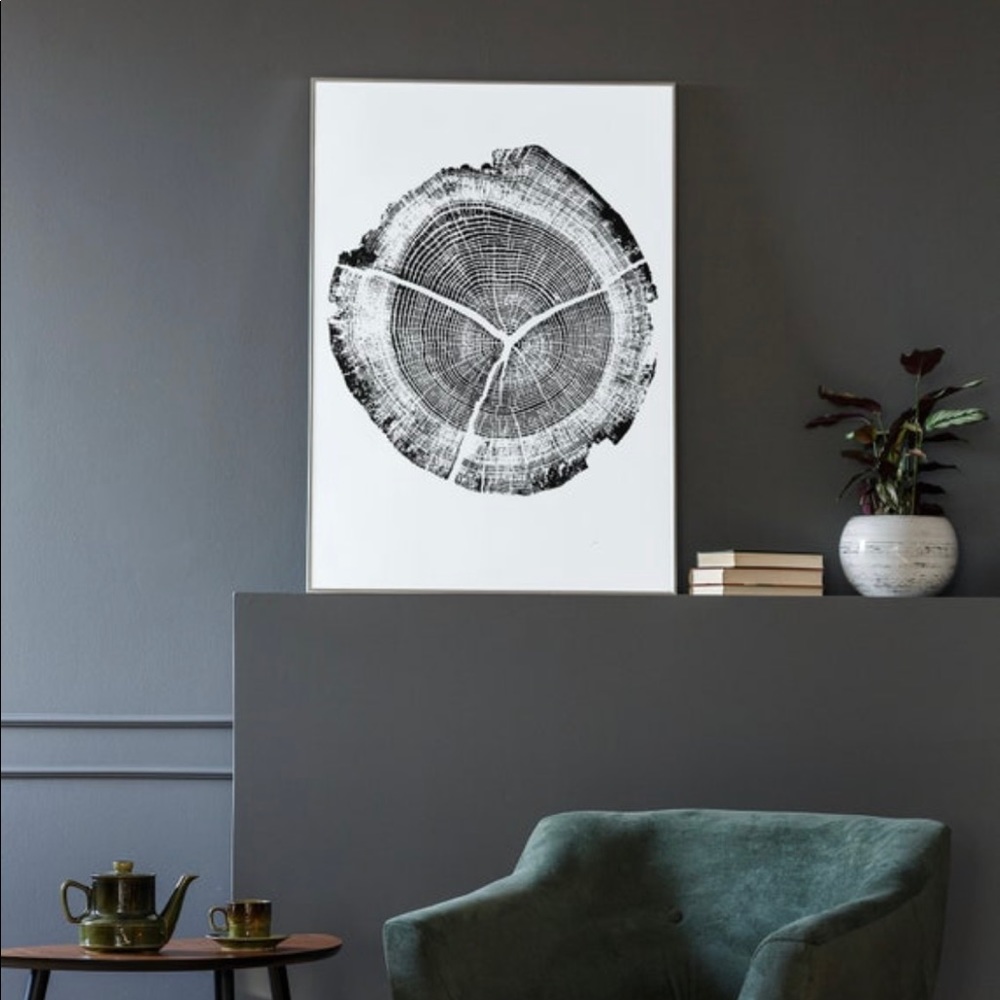 Tree Rings Print Photo - Picture 2 of 2